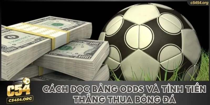 Cách đọc bảng Odds và tính tiền thắng thua bóng đá