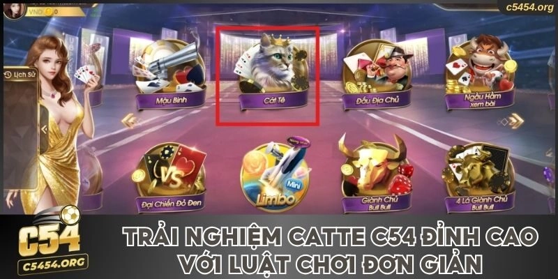 Trải Nghiệm Catte C54 Đỉnh Cao Với Luật Chơi Đơn Giản