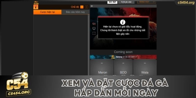 Xem và đặt cược đá gà hấp dẫn mỗi ngày